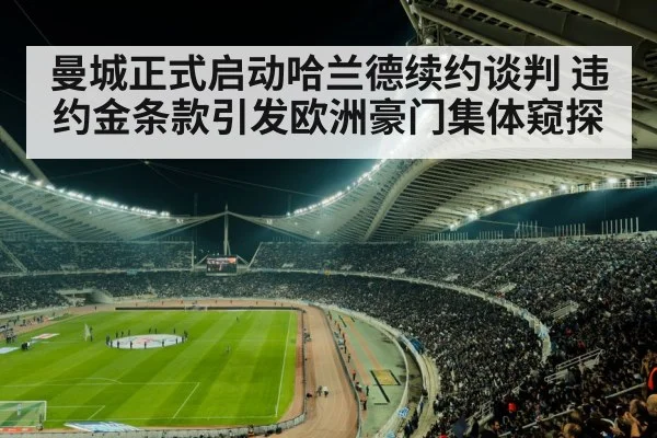 soccer stadium night lights